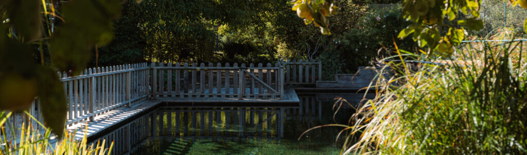 La filtration naturelle